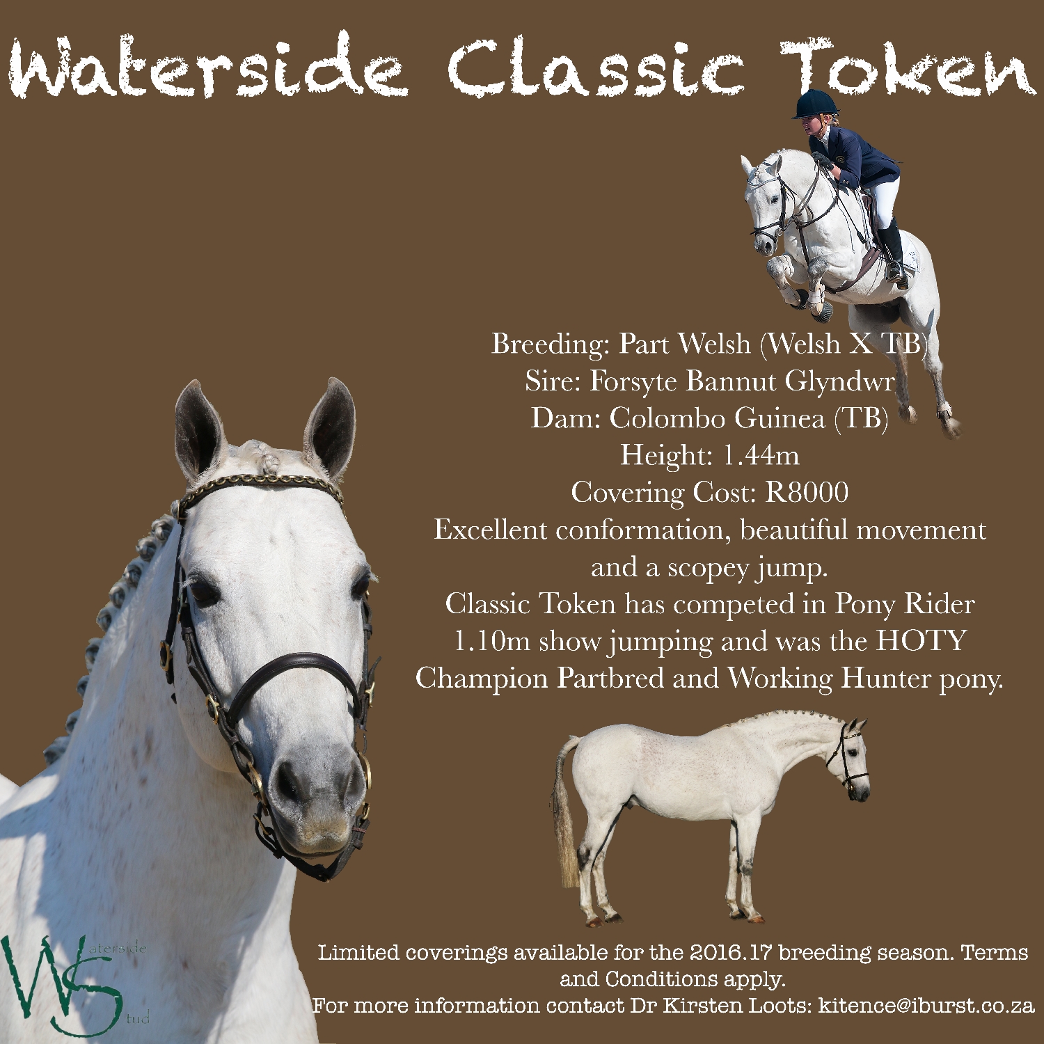 waterside-classic-token